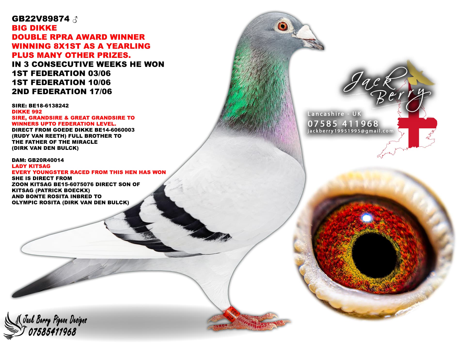 Jack Berry Racing Pigeons - Web Design project showcase by KinKo Digital
